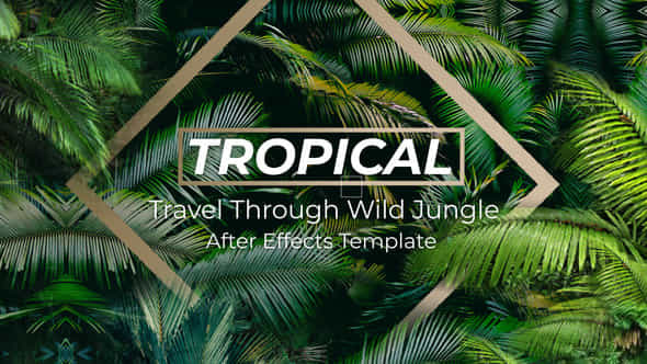 Jungle Tropical Slideshow - VideoHive 40108191