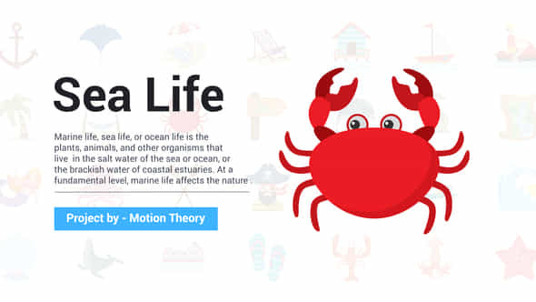 Sea Life Icons - VideoHive 36225565