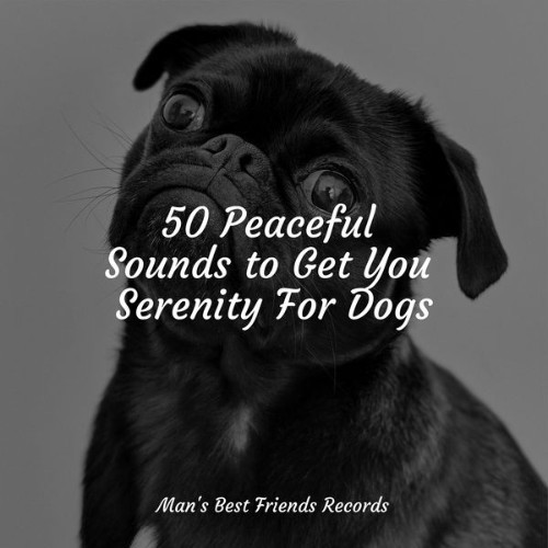 Music for Pets Library - 50 Peaceful Sounds to Get You Serenity For Dogs - 2022