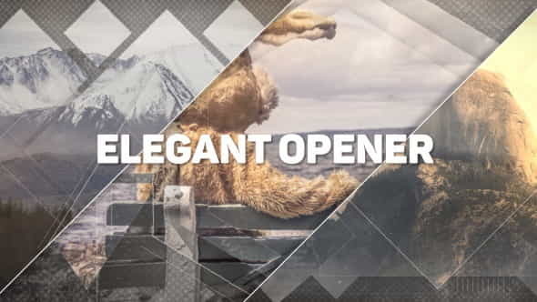 Elegant Opener - VideoHive 14822667