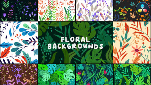 Floral Backgrounds for - VideoHive 44174946