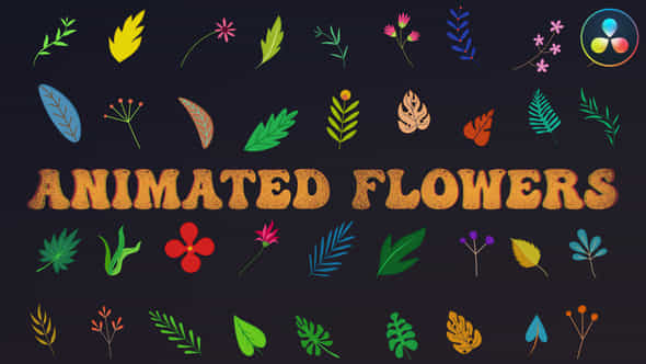 Animated Flowers for - VideoHive 37564769