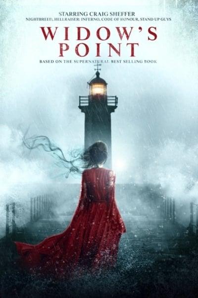 Widows Point 2019 1080p AMZN WEBRip DDP5 1 x264-NWD