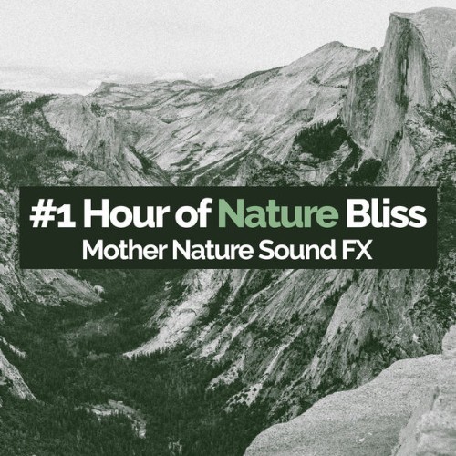 Mother Nature Sound FX - #1 Hour of Nature Bliss - 2019