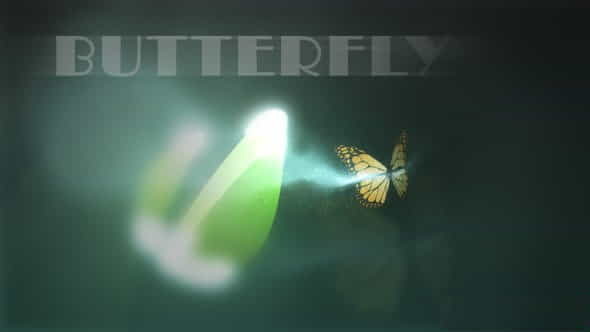 Butterfly Logo Reveal - VideoHive 6280982