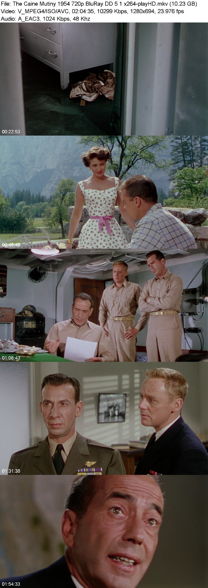 The Caine Mutiny (1954) 720p BluRay DD 5 1 x264-playHD BaNMYnIK_o