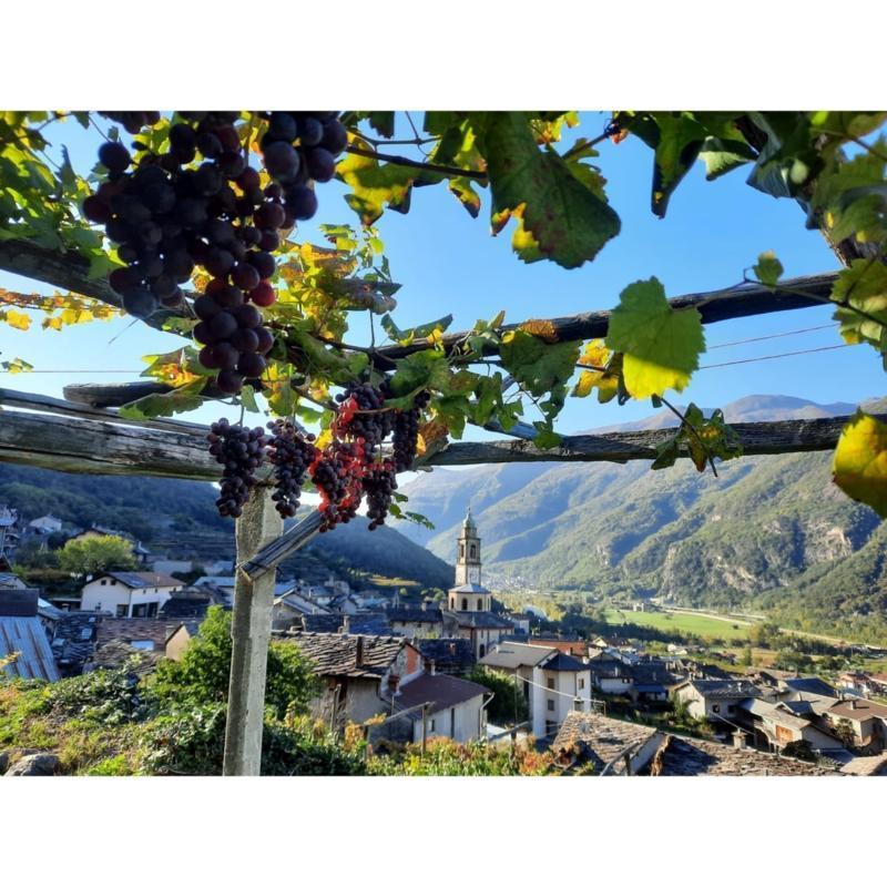 A Caluso e Carema settembre è tempo di feste dell’uva e del vino