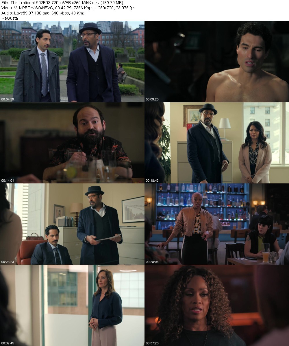 The Irrational S02E03 720p WEB x265-MiNX