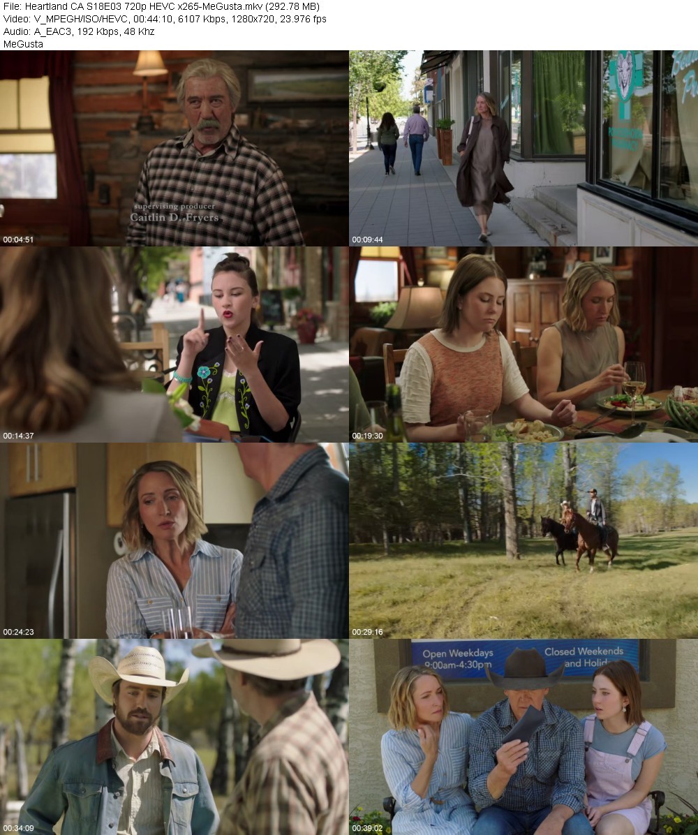 Heartland CA S18E03 720p HEVC x265-MeGusta