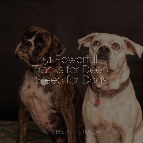 Relaxation Music For Dogs - 51 Powerful Tracks for Deep Sleep for Dogs - 2022