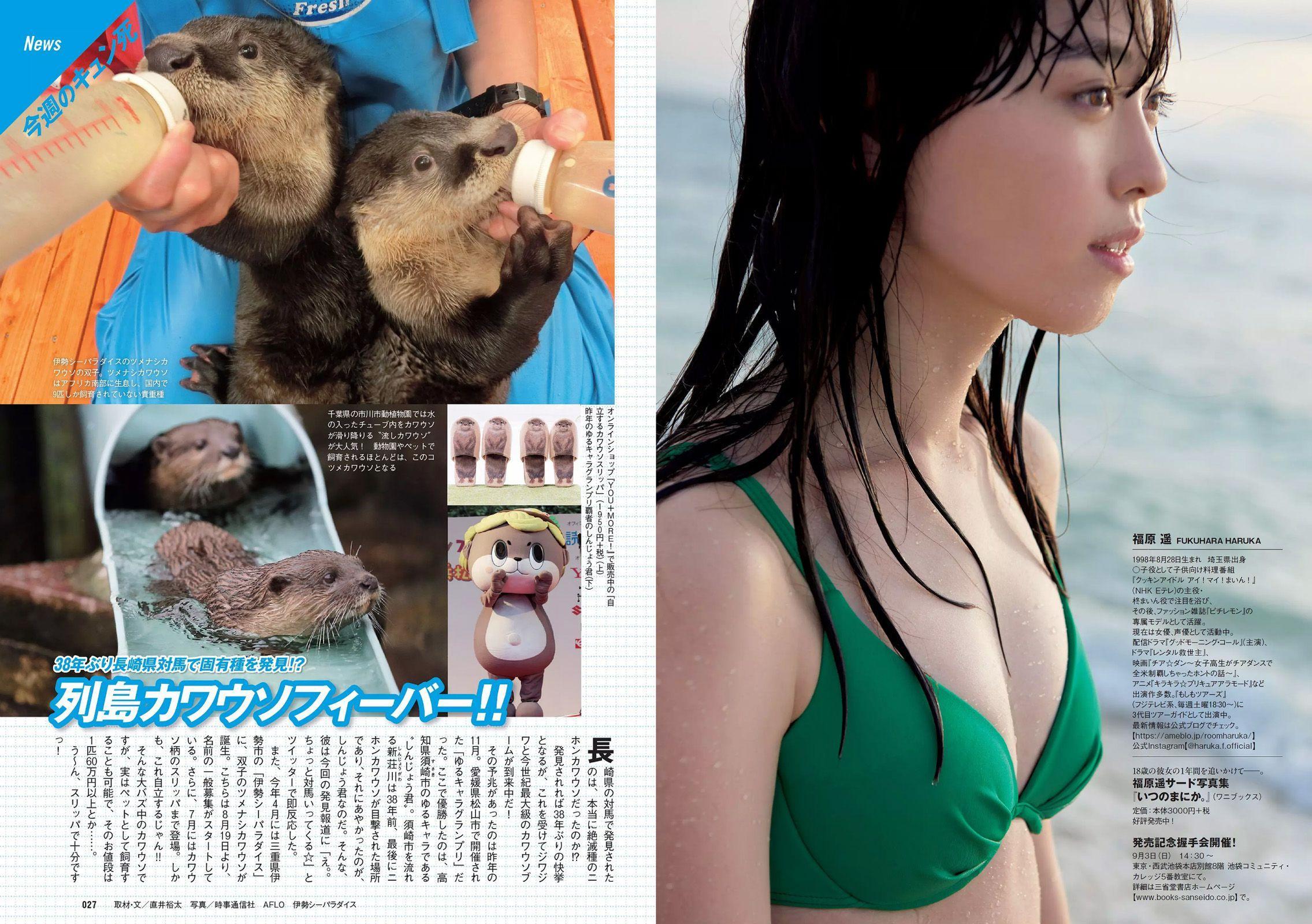 石原さとみ 松永有紗 福原遥 澤北るな [Weekly Playboy] 2017年No.37 写真杂志(14)