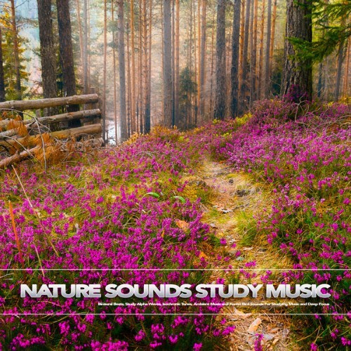 Study Music & Sounds - Nature Sounds Study Music Binaural Beats, Study Alpha Waves, Isochronic To...