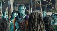 :   / Avatar: The Way of Water (2022/WEB-DL/WEB-DLRip)