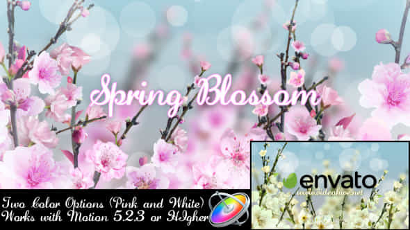 Spring Blossom - VideoHive 15789789