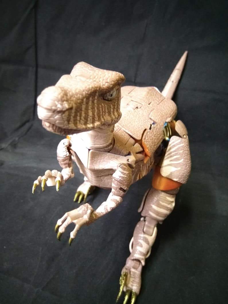 [Masterpiece] MP-41 Dinobot (Beast Wars) - Page 2 DPCJn1sP_o