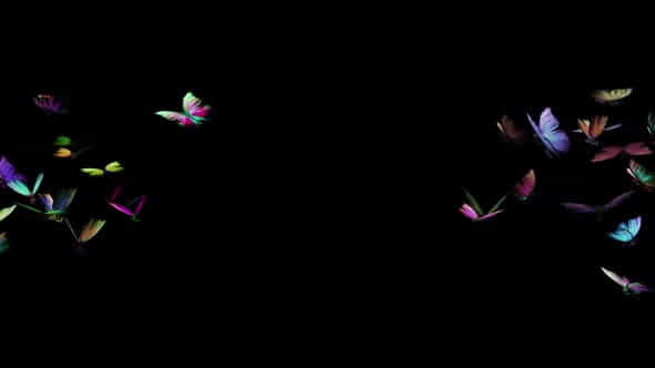 Rainbow Butterflies - 2 Swarms - VideoHive 34164161