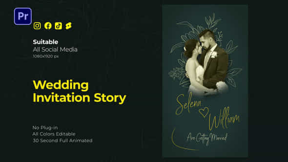 Wedding Invitation Story - VideoHive 48939145