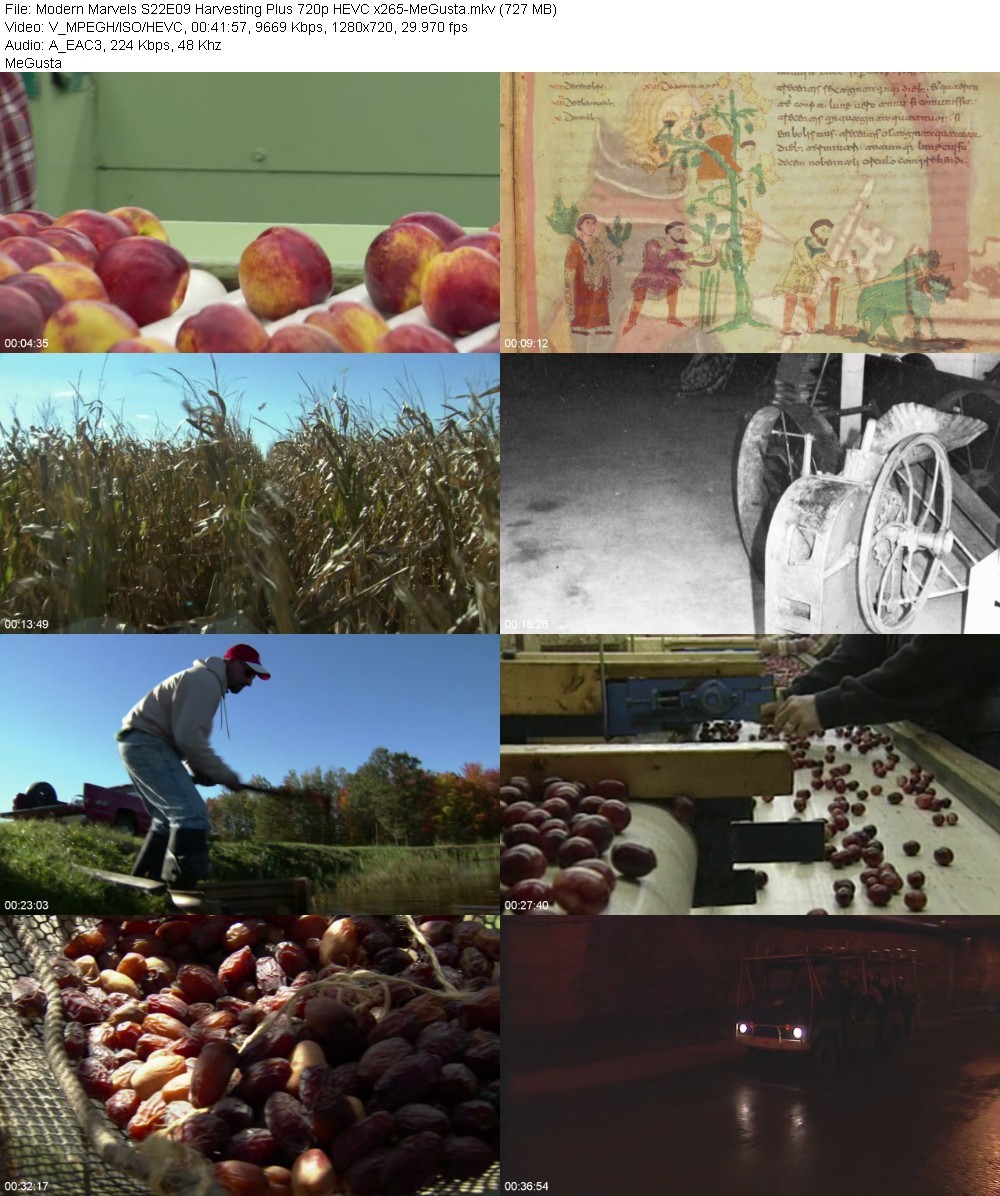 Modern Marvels S22E09 Harvesting Plus 720p HEVC x265-MeGusta