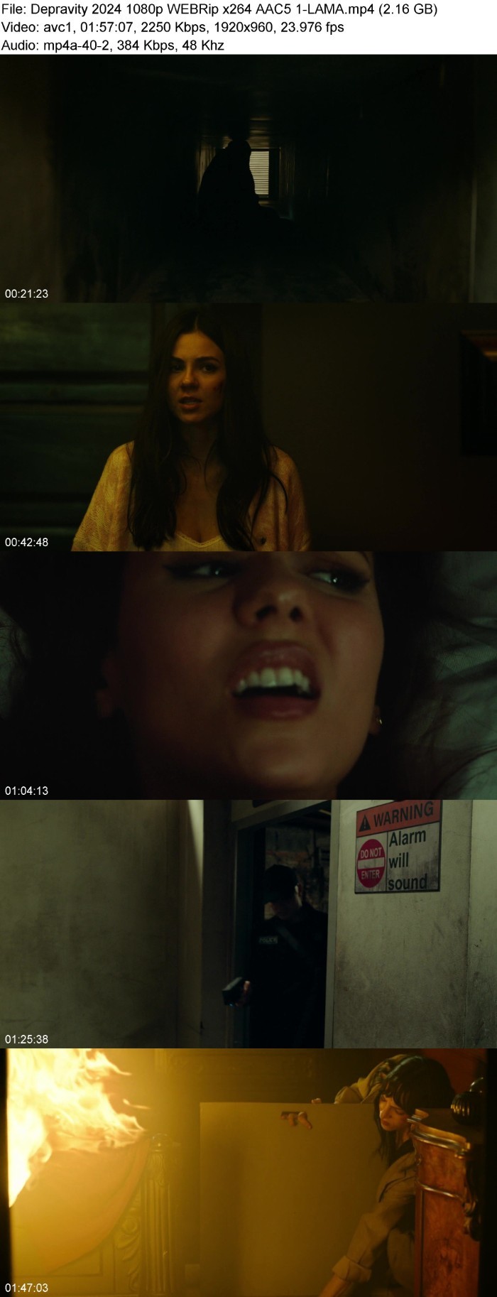 Depravity (2024) 1080p WEBRip 5 1-LAMA