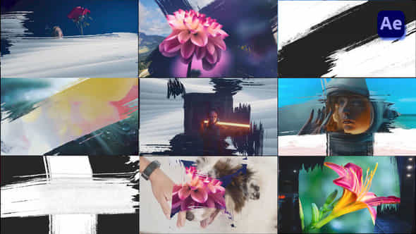 Paint Brush Transitions - VideoHive 47440134
