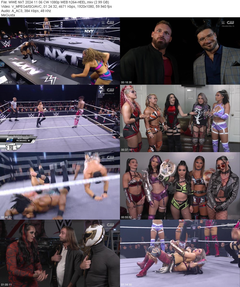 WWE NXT 2024 11 06 CW 1080p WEB h264-HEEL