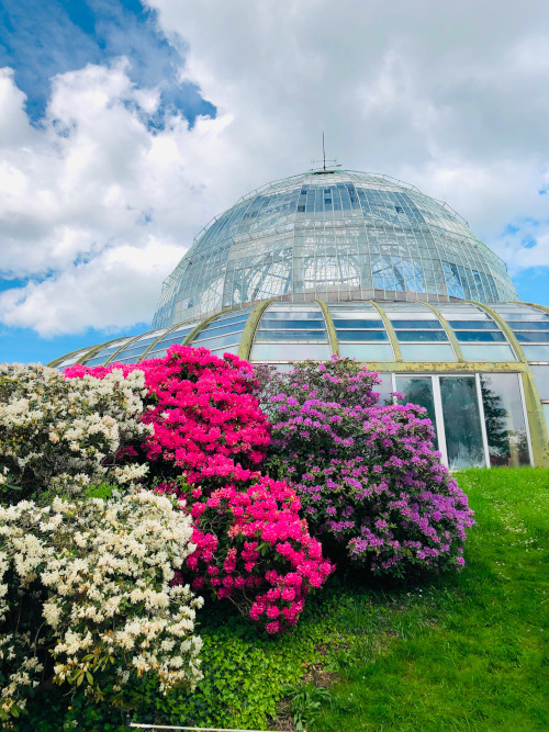 Royal botanic garden brussels