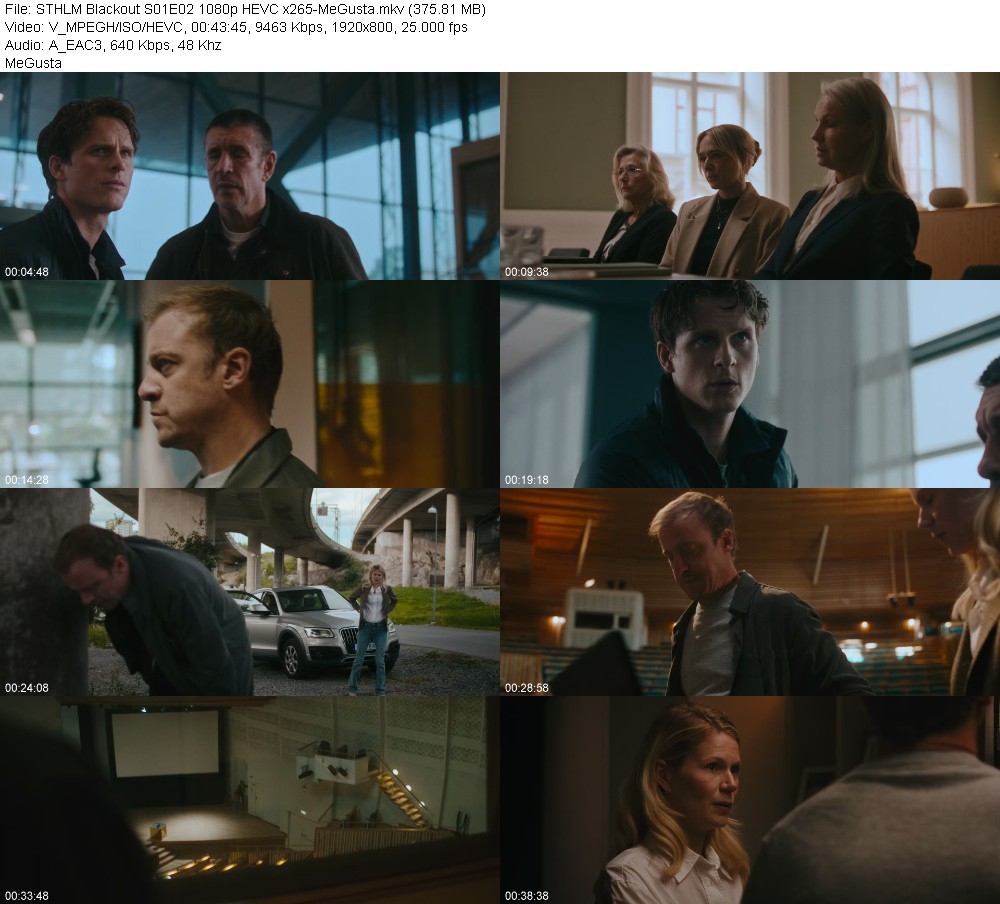 STHLM Blackout S01E02 1080p HEVC x265-MeGusta