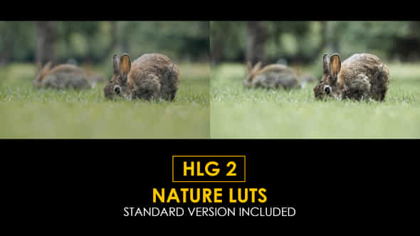 Hlg2 Nature And Standard Luts - VideoHive 50878704