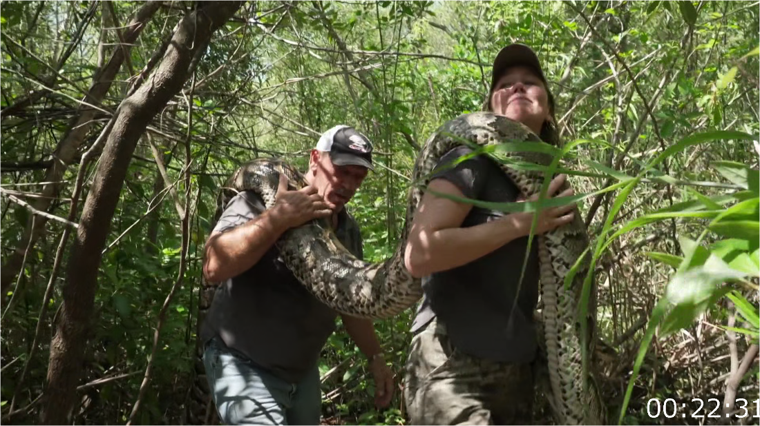 Swamp People Serpent Invasion S04E01 [1080p] (x265) BIk0ushW_o