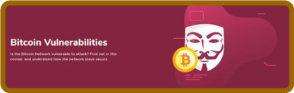 Moralis - Bitcoin Vulnerabilities