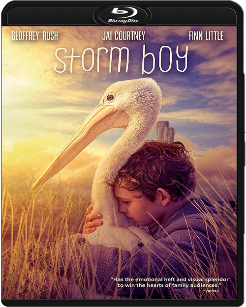 Chłopiec z burzy / Storm Boy (2019) MULTi.1080p.BluRay.x264.DTS.AC3-DENDA / DUBBING i NAPISY PL