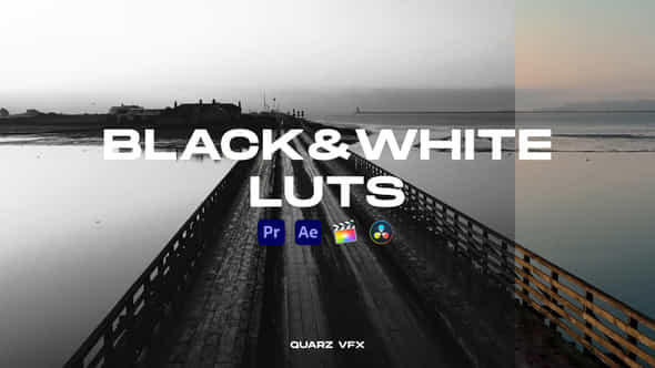 BlackWhite LUTs Color - VideoHive 39611819