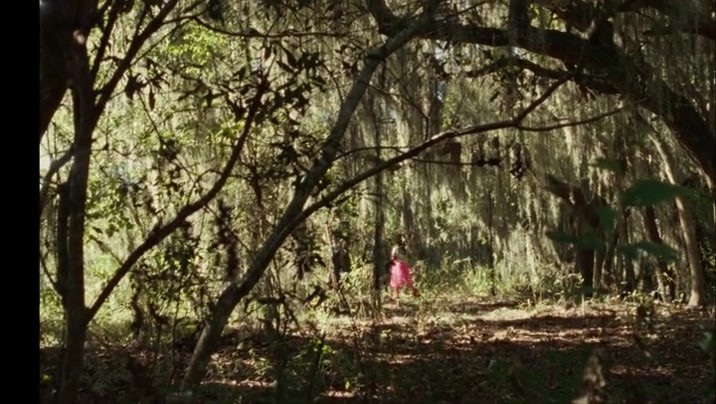 Blue Bayou 2021 HDRip XviD AC3-EVO Blue Bayou 2021 HDRip XviD AC3-EVO