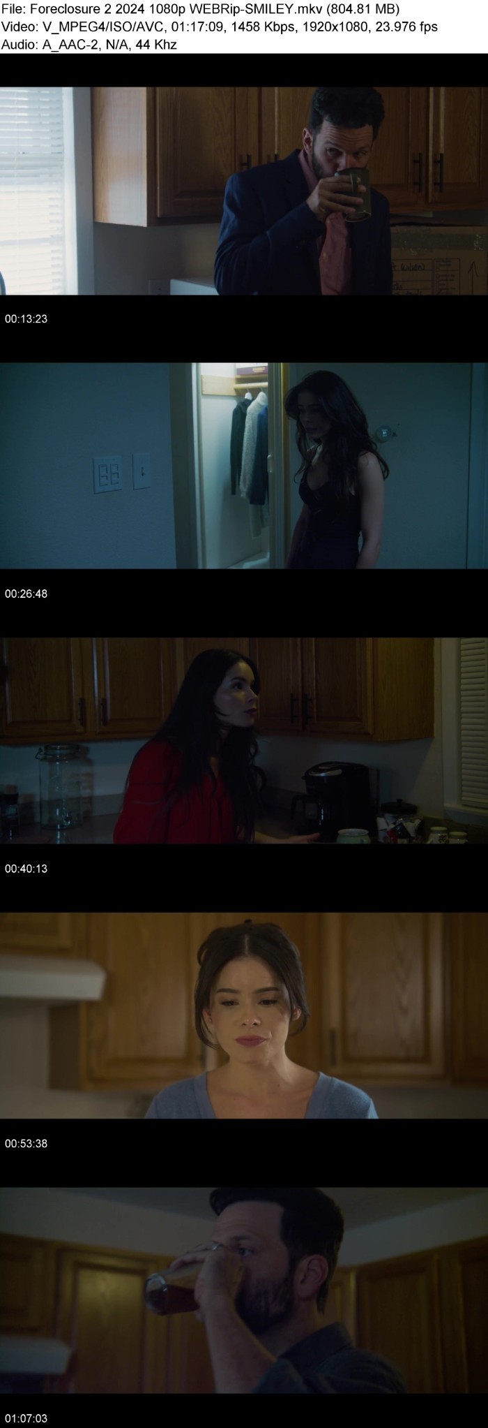 Foreclosure 2 (2024) 1080p WEBRip-SMILEY SpnCJjtX_o