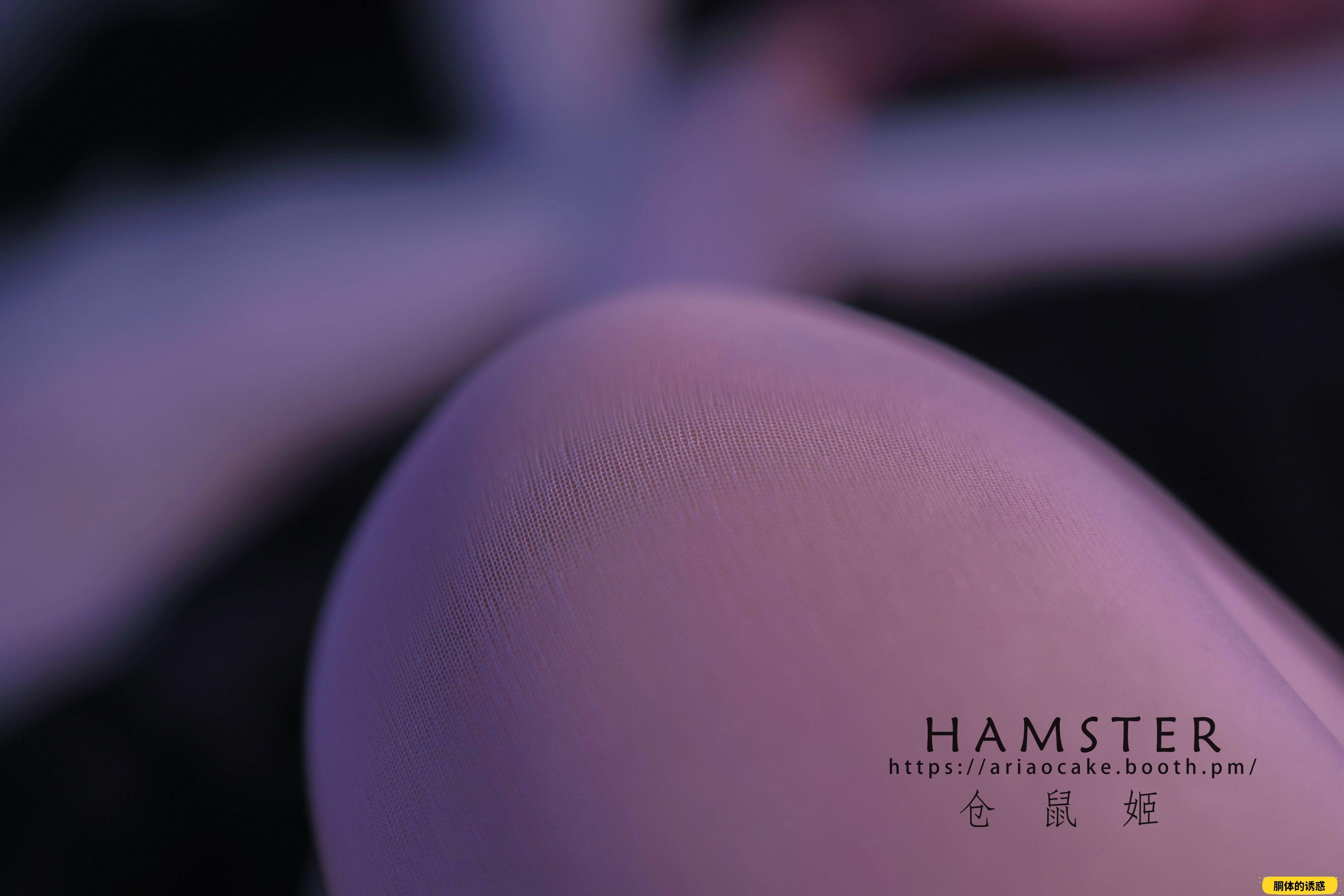 HAMSTERS 仓鼠姬 - NO.005 VOL.02 居家女友2 [34P-38MB]