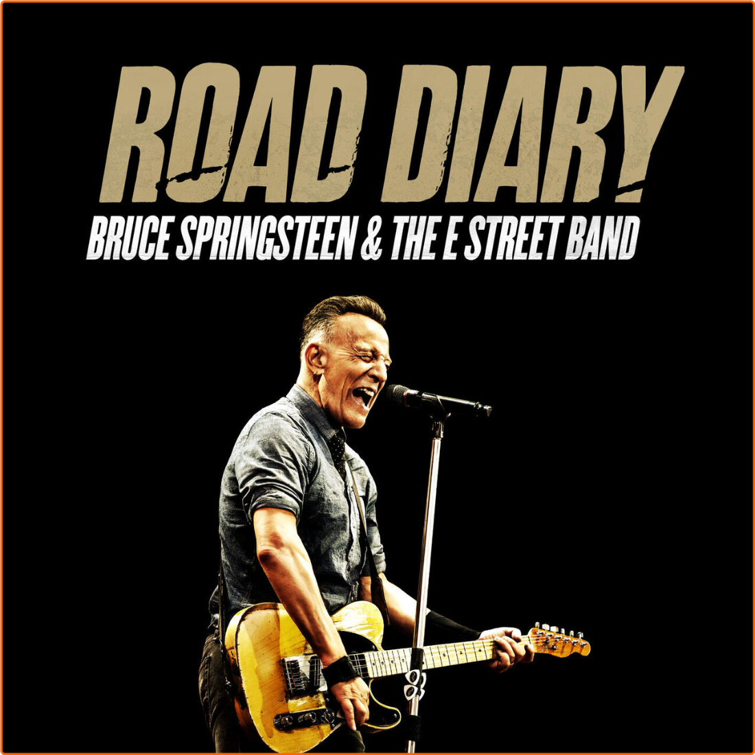 Bruce Springsteen Bruce Springsteen & The E Street Band Road Diary (2024) [FLAC] 16BITS 44 1KHZ 4VYGpaf8_o