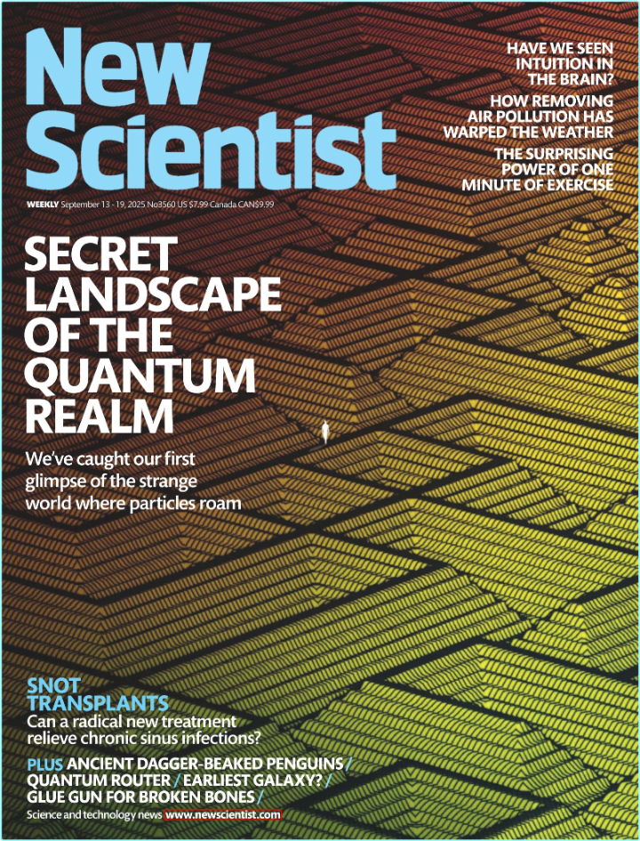 New Scientist US 13.19 September 2025