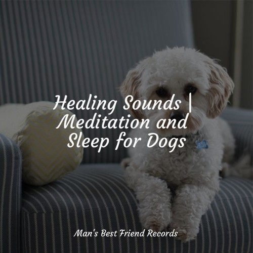 Calm Doggy - Healing Sounds  Meditation and Sleep for Dogs - 2022