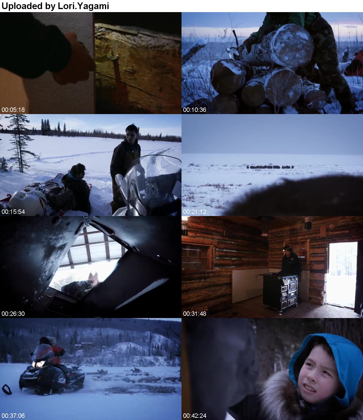 Life Below Zero S12E06 WEB x264-TBS