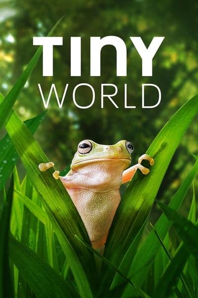 Tiny World S02E01 720p HEVC x265