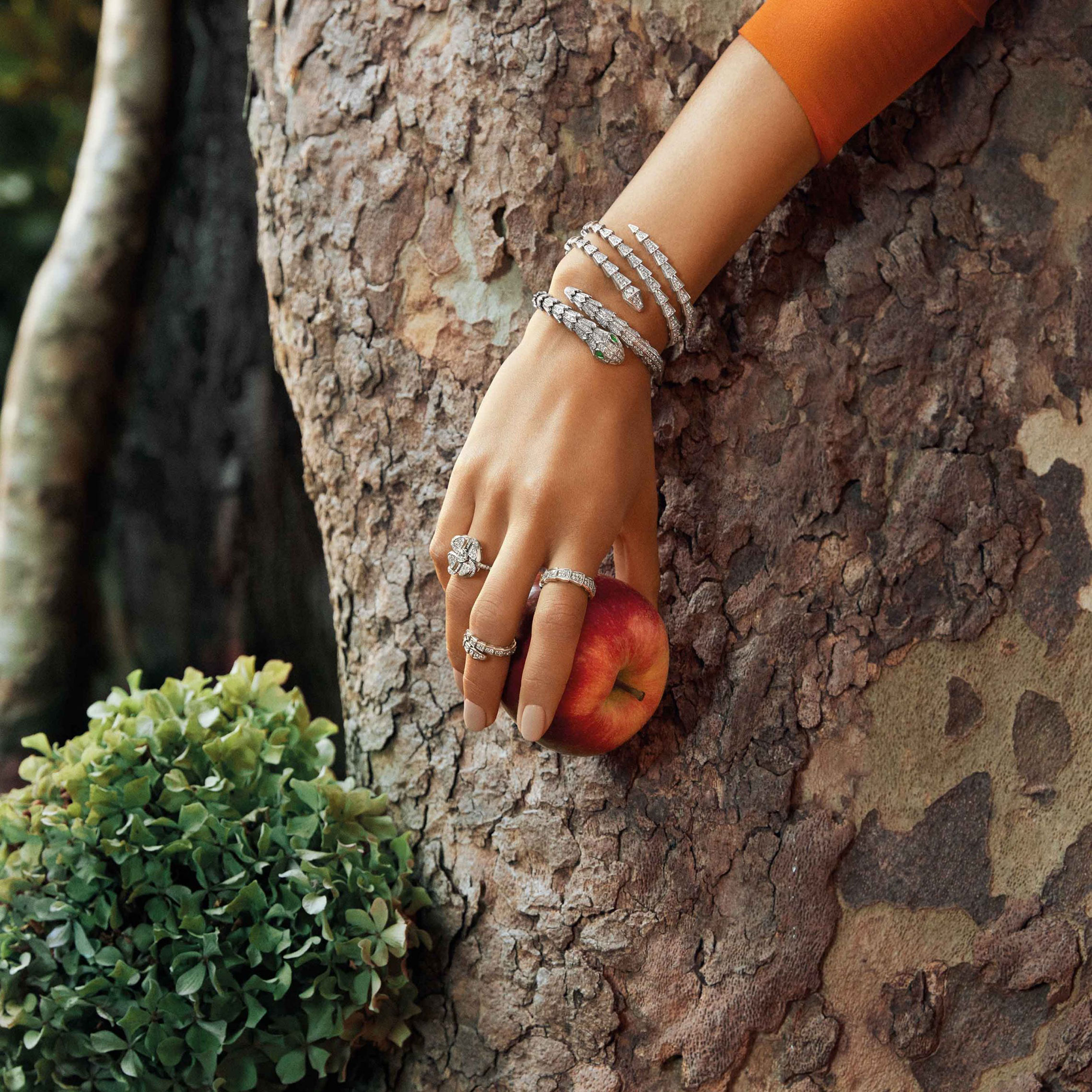 Zendaya / Bvlgari Forever Jewelry 2020 Collection Зендая в драгоценных украшениях Bvlgari / фото 07