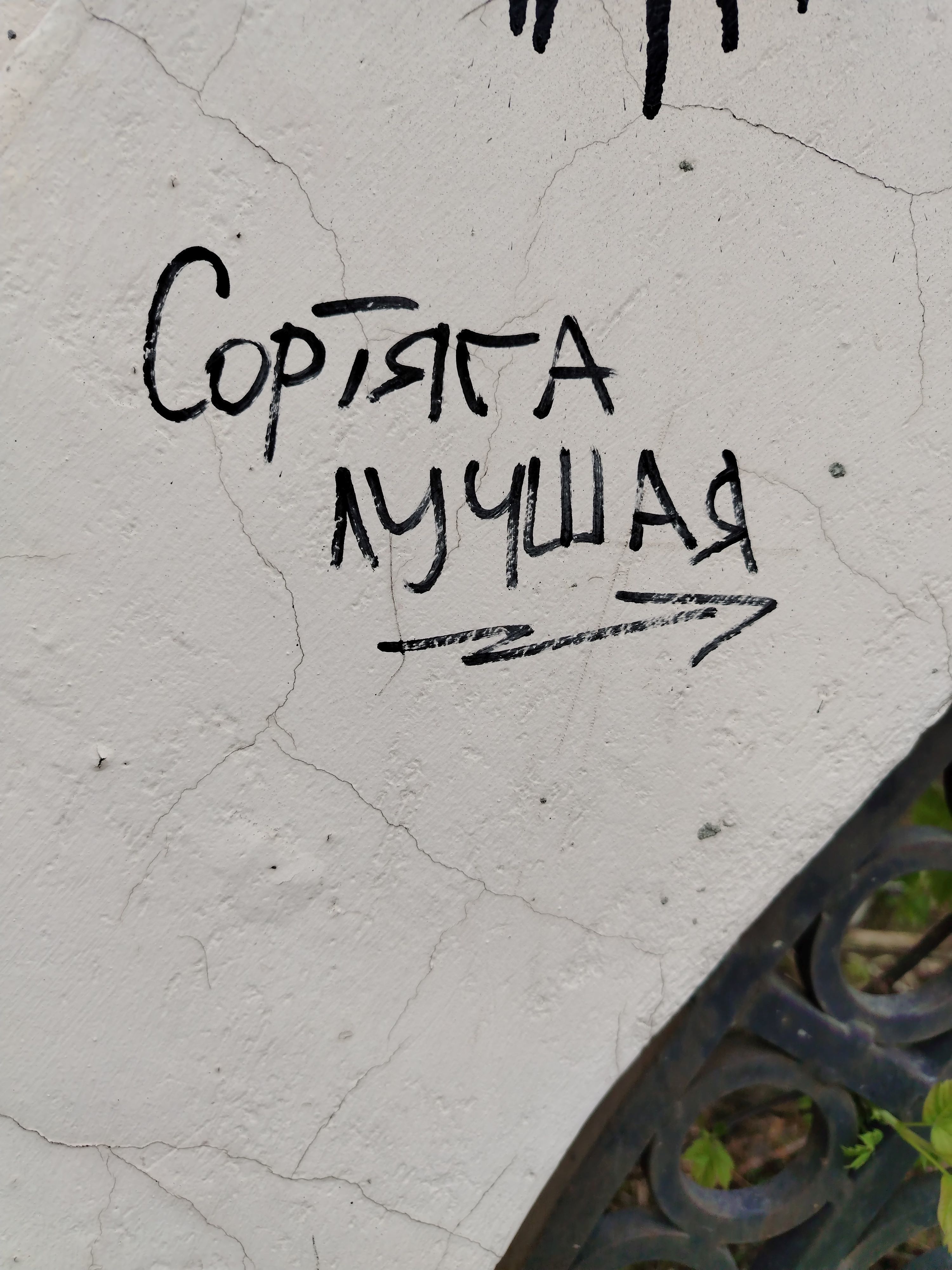 vuRIm8uD_o.jpg