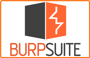 Burp Suite Professional 2024.11.2