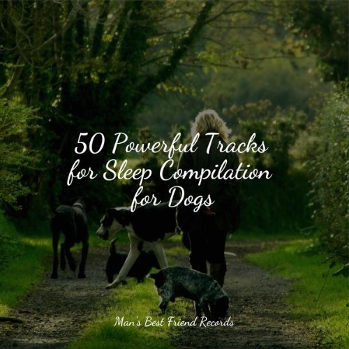 Dog Music - 50 Powerful Tracks for Sleep Compilation for Dogs - 2022