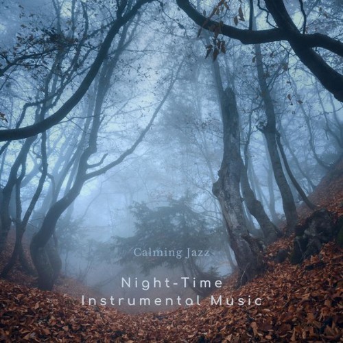 Night-Time Instrumental Music - Calming Jazz - 2022