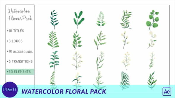 Watercolor Flower Pack - VideoHive 33428736