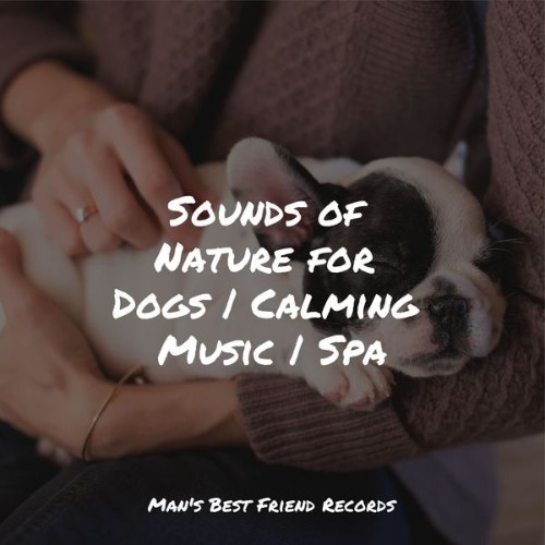 Music for Calming Dogs - Sounds of Nature for Dogs  Calming Music  Spa - 2022