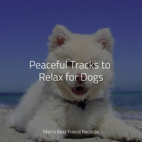 Dog Music Club - Peaceful Tracks to Relax for Dogs - 2022