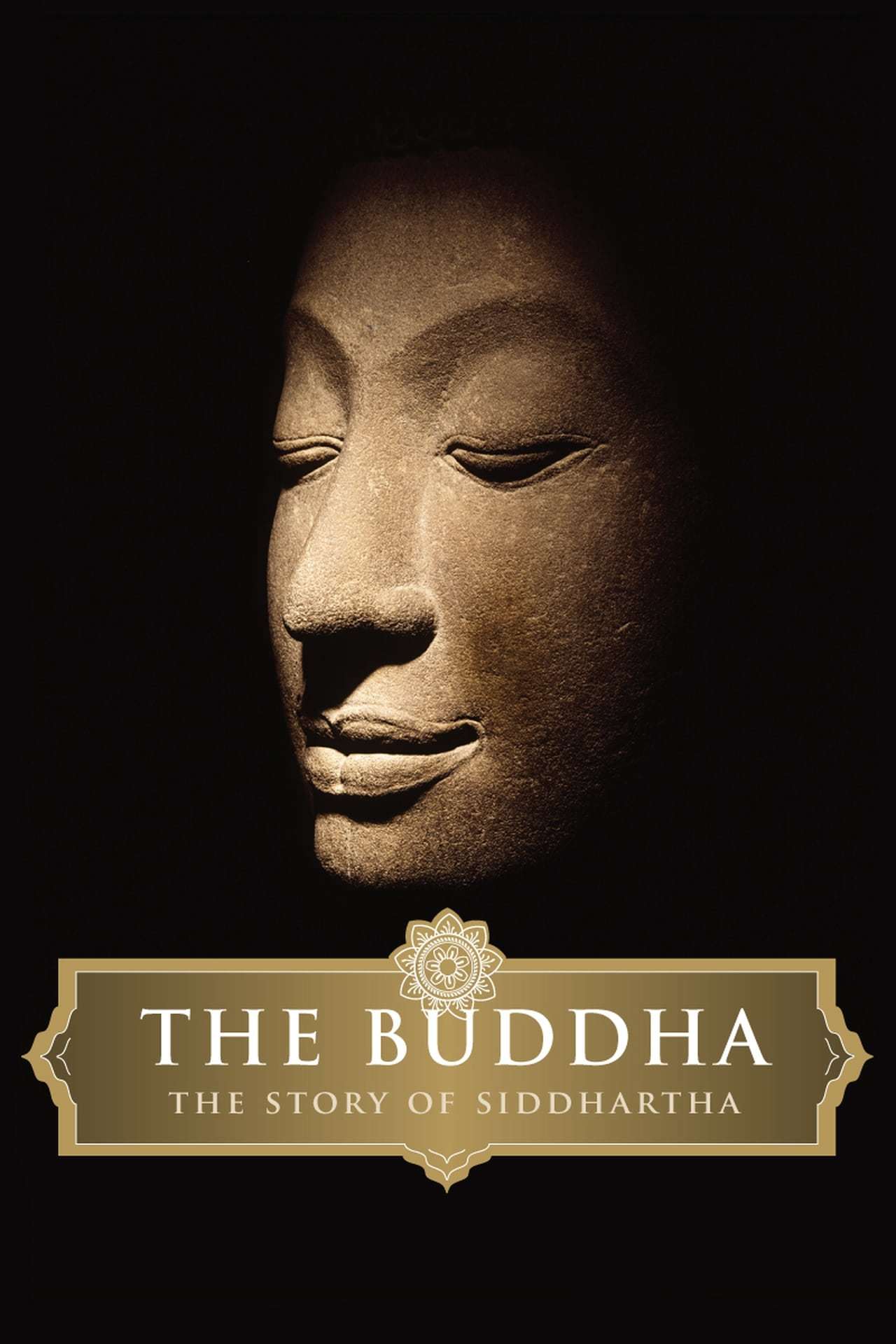 The Buddha 2010 X265