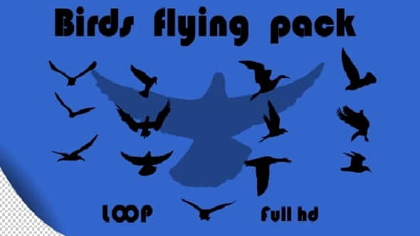Birds Flying Pack - VideoHive 2127868